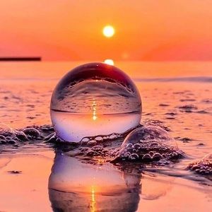 Meet your Posher, Alison